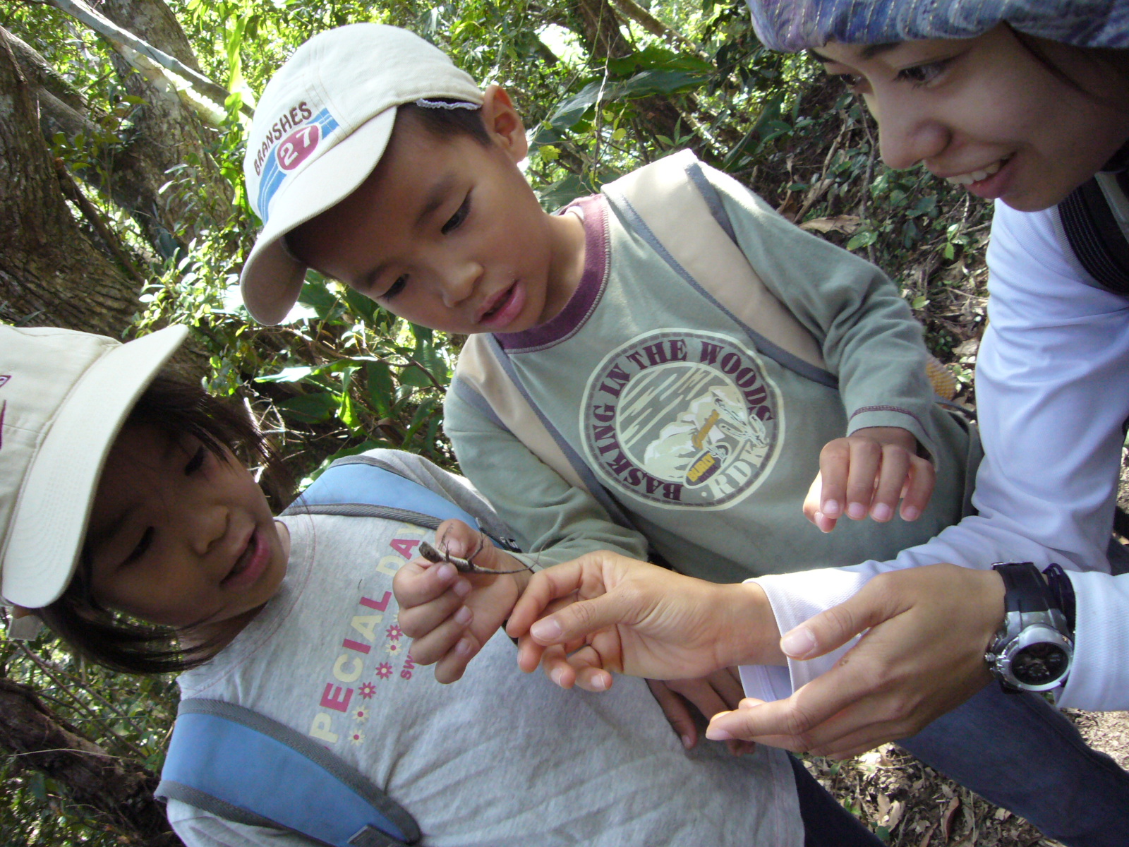 やんばるの森の中を歩くとたくさんの生き物に会えます!