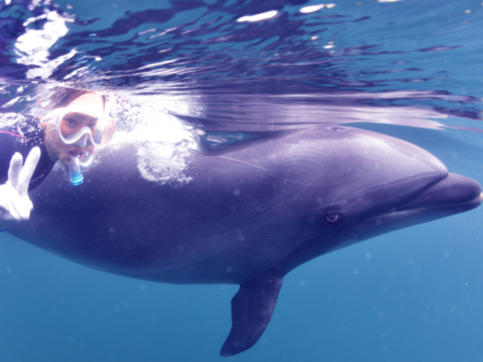 顔をつけて泳ぐと目が合うかも♪