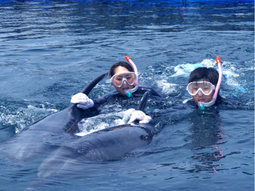 イルカの気分で2頭並んでしまうことがあるかも!?