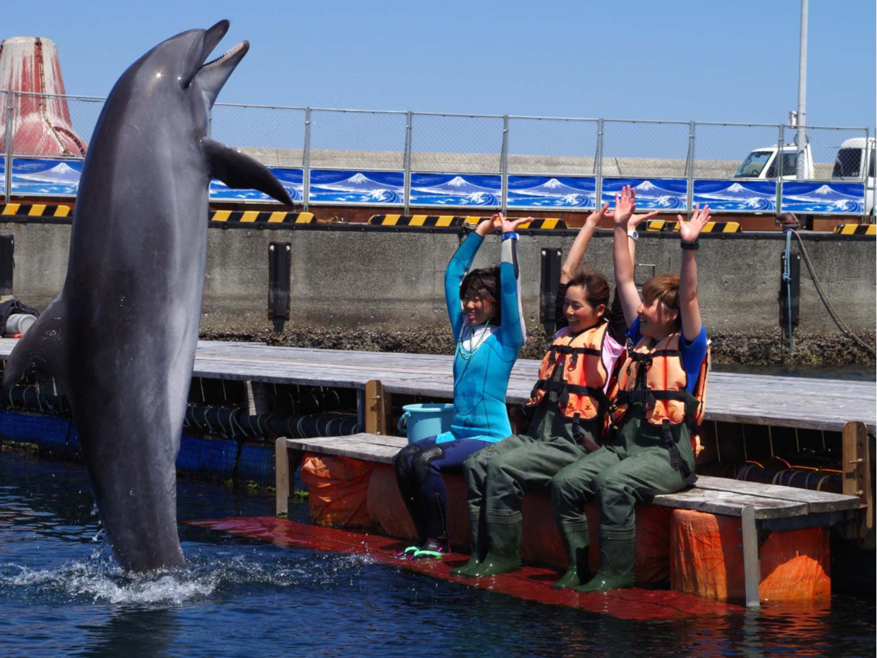ふれあいコースも体験可♪