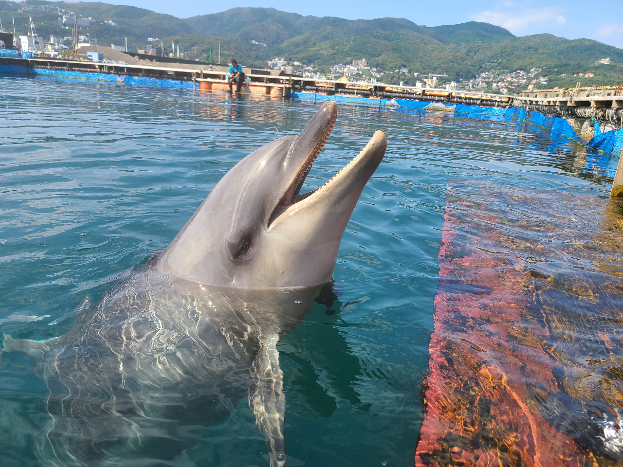 こんなに近くで会えます♪