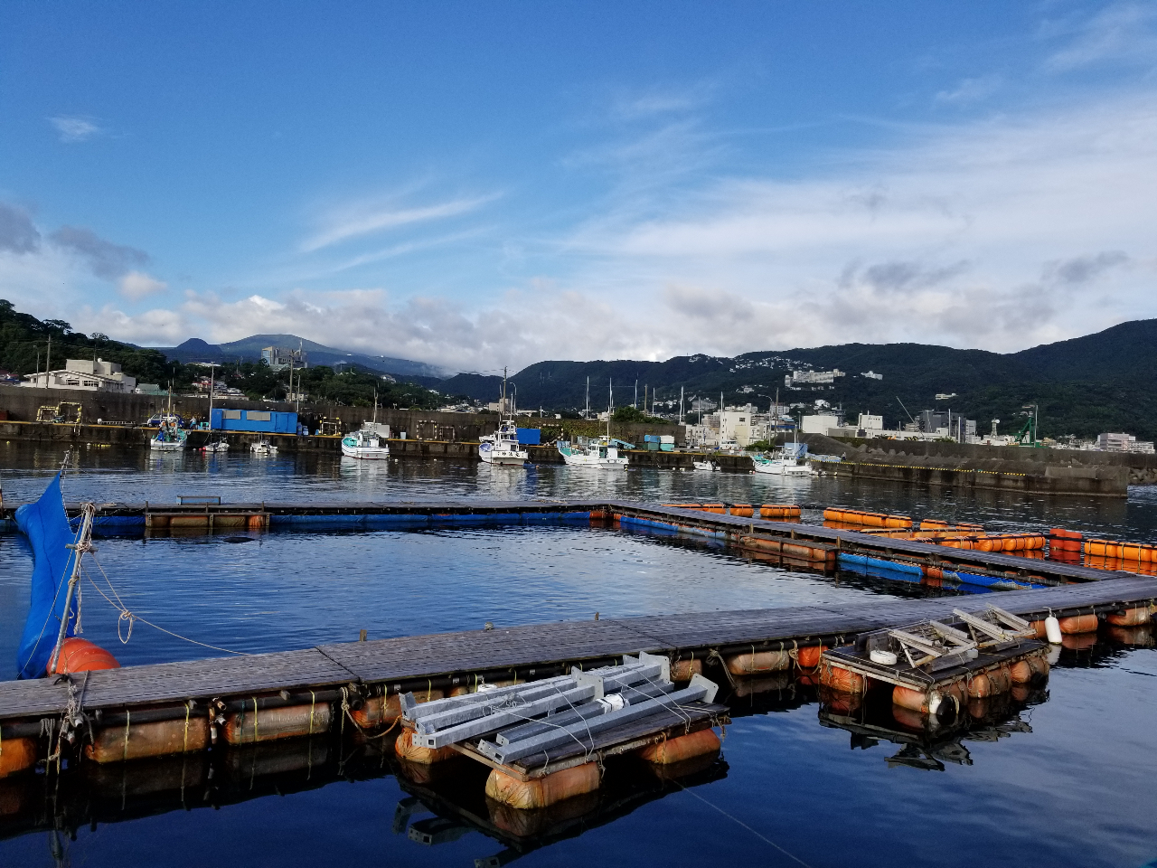 このイケスの中に入って泳ぎます。