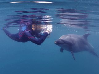 防水カメラがあれば水中写真も撮ることが可能!