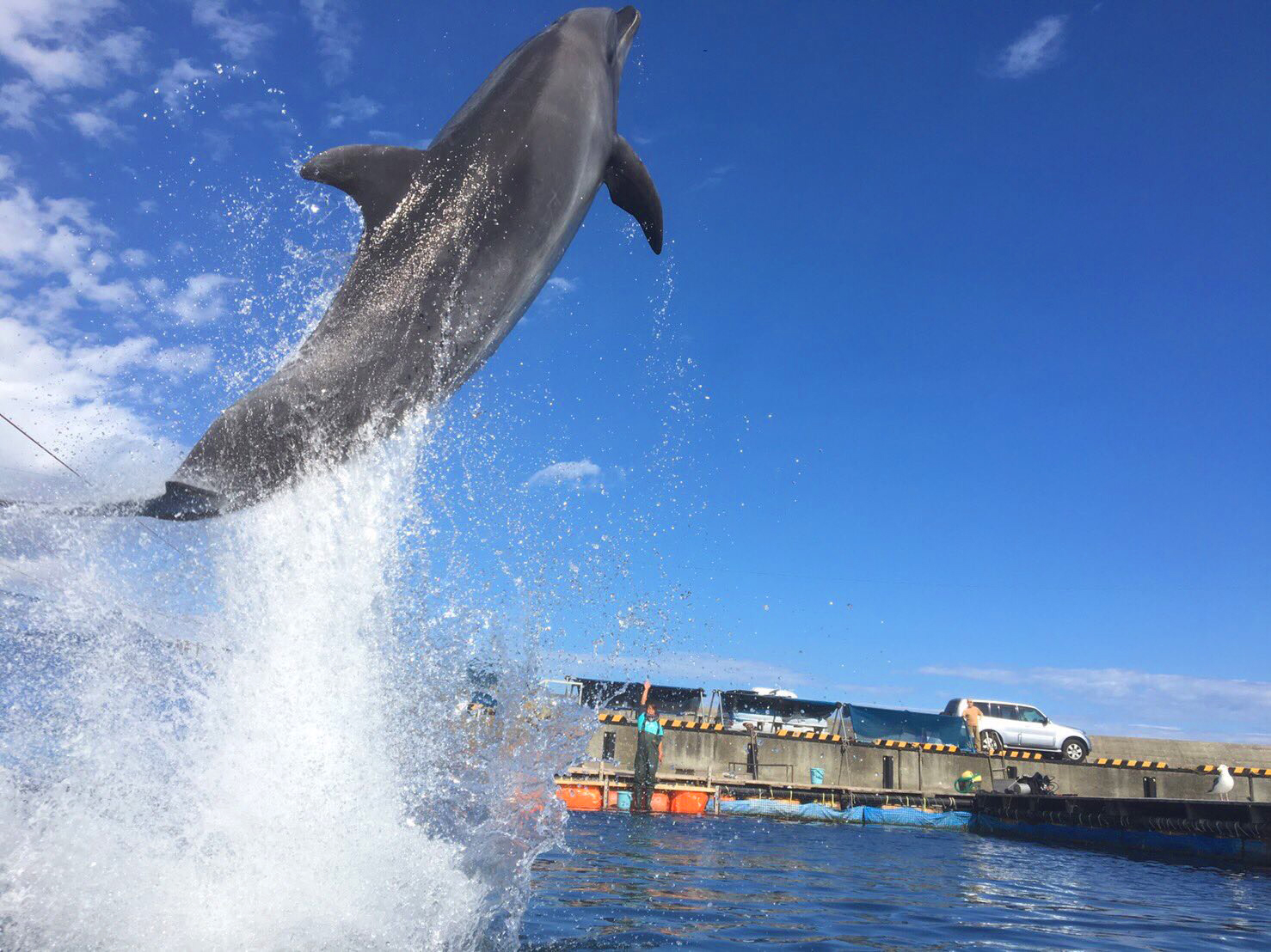 目の前で見られるジャンプは迫力満点!!