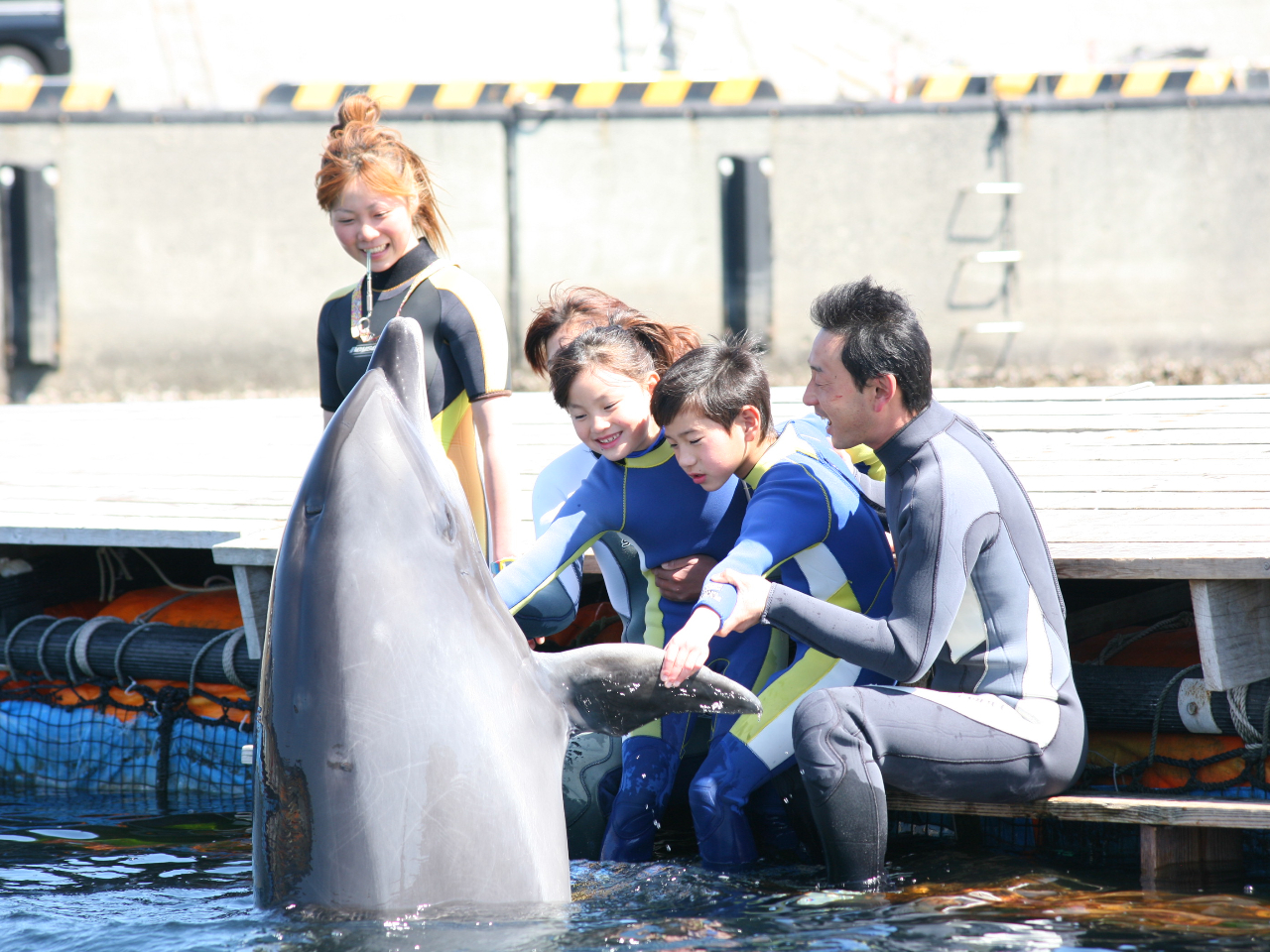 ◆伊東◆イルカにタッチ◆【ふれあいコース】4～11月