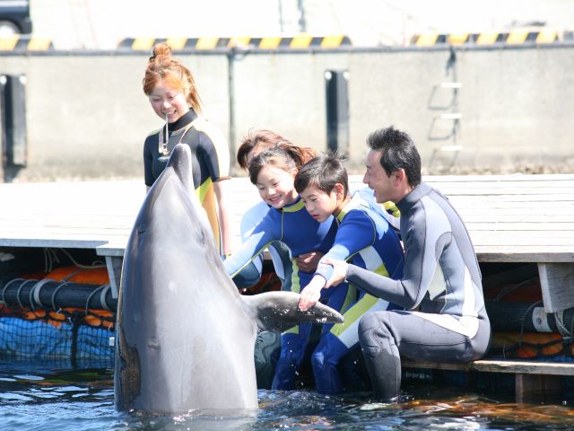 ドルフィンファンタジー伊東の最新写真