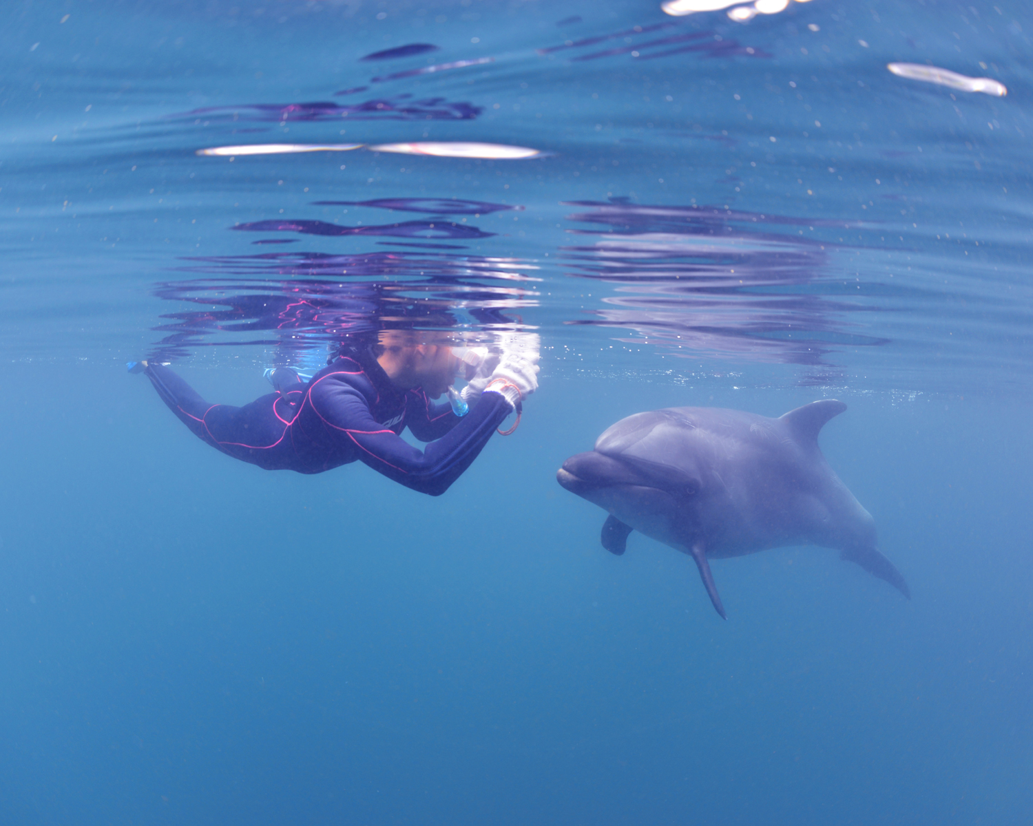 水中カメラでの撮影もできます※ストラップ等を装着していて、身体から離れないようになっている状態のみ持ち込み可