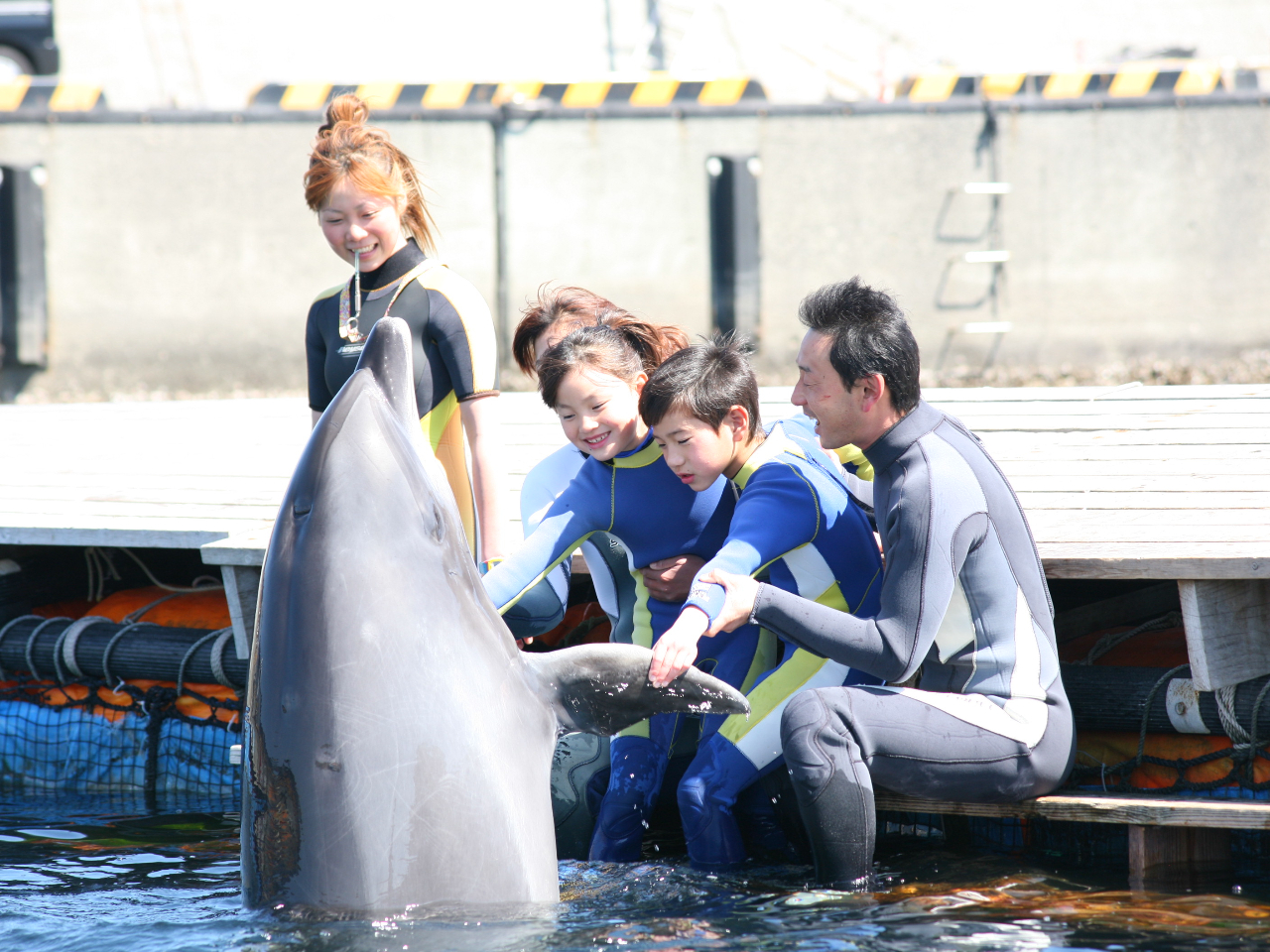 イルカと握手♪