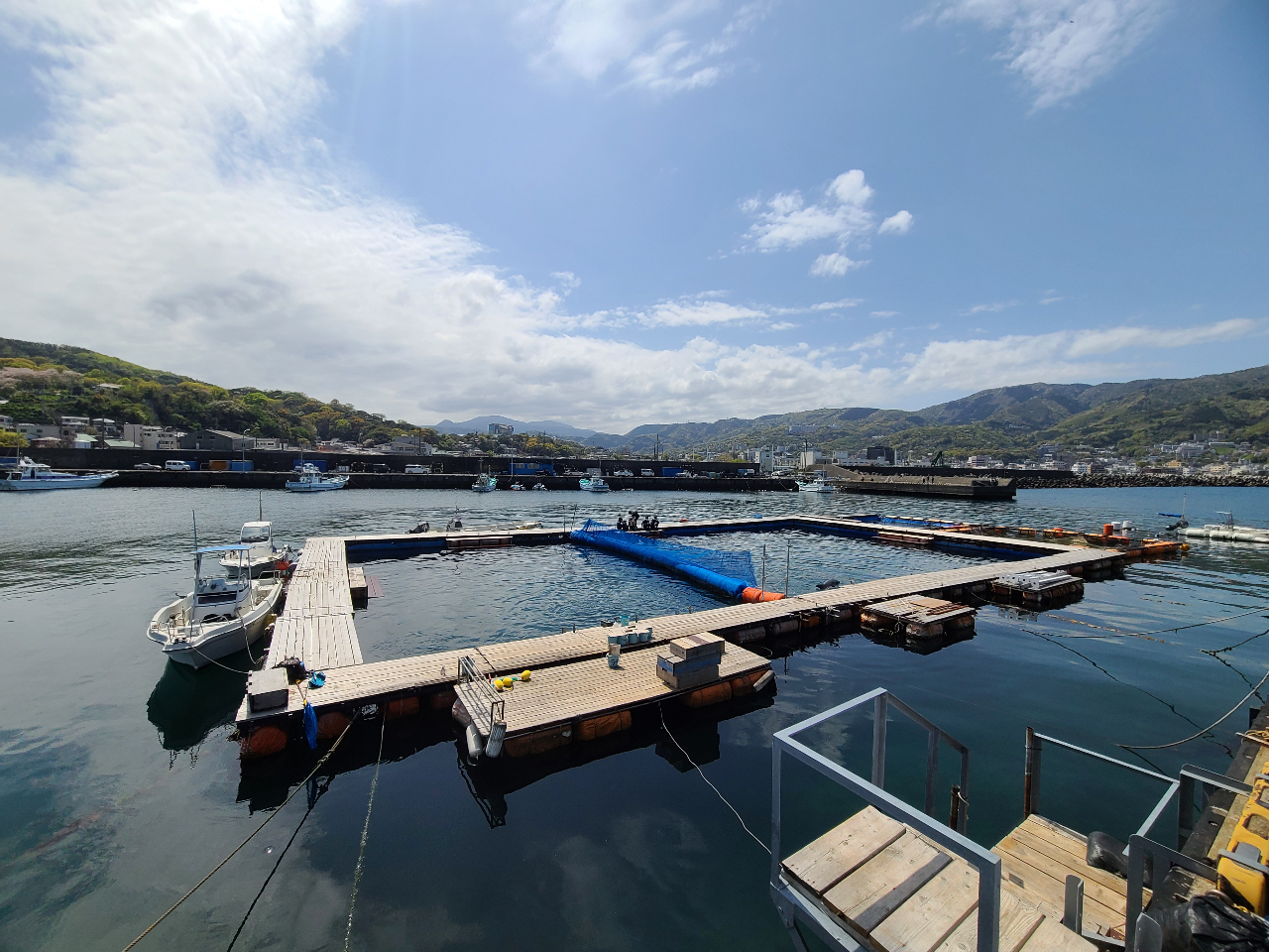 自然に近い環境で飼育をしています