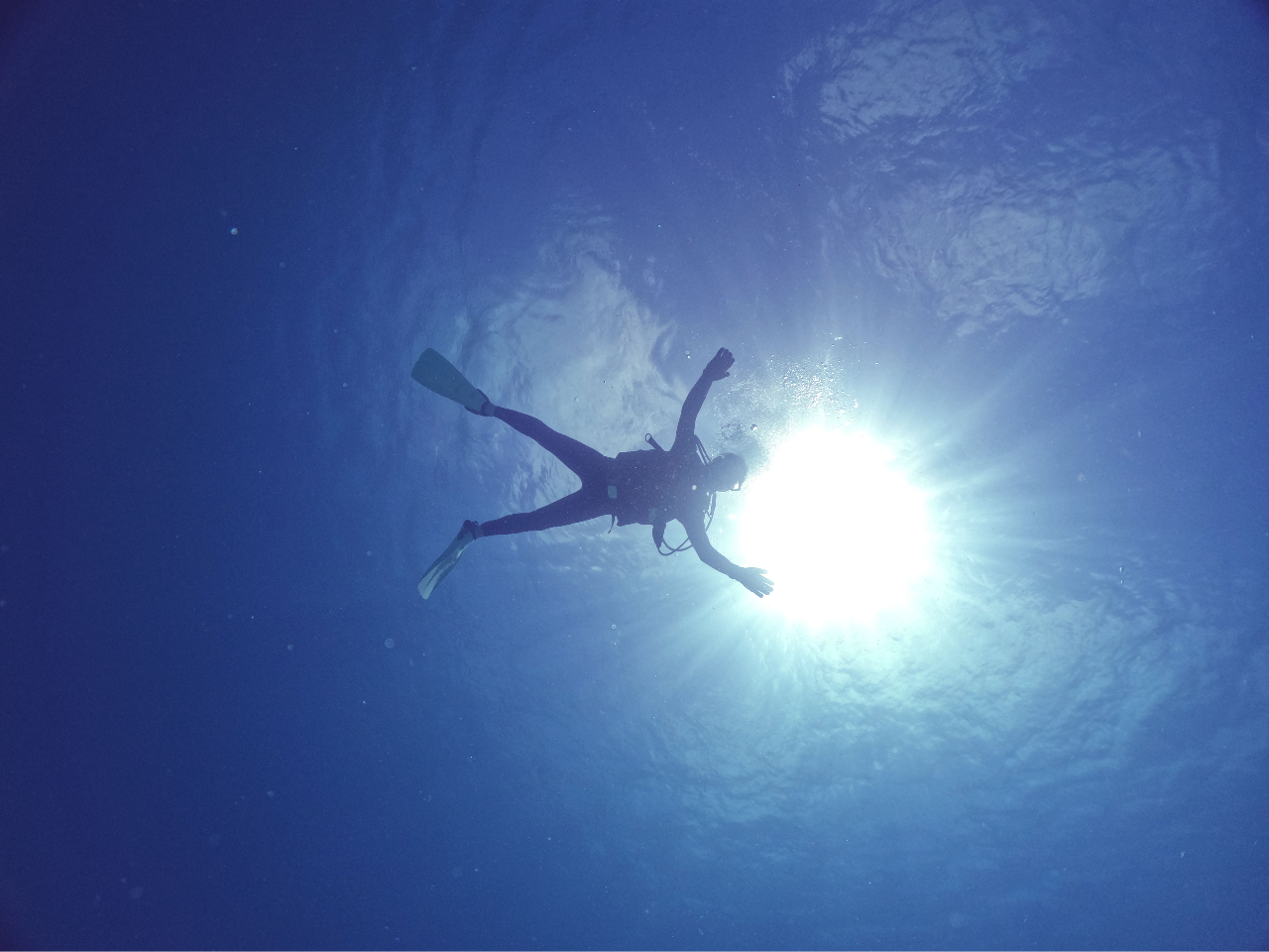 早朝だからこそ見れる本当の青の洞窟!!