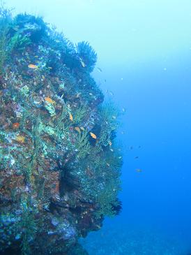 ダイナミックな地形