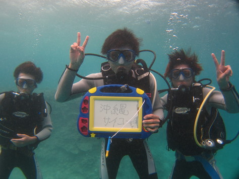 自由に泳ぎまわろう