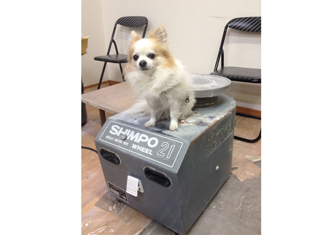 ɂ̓`̂肵傤܂B͂߂͖i܂̌̐k񂾂ƗƐÂɂȂ܂Bȕ͂m点B