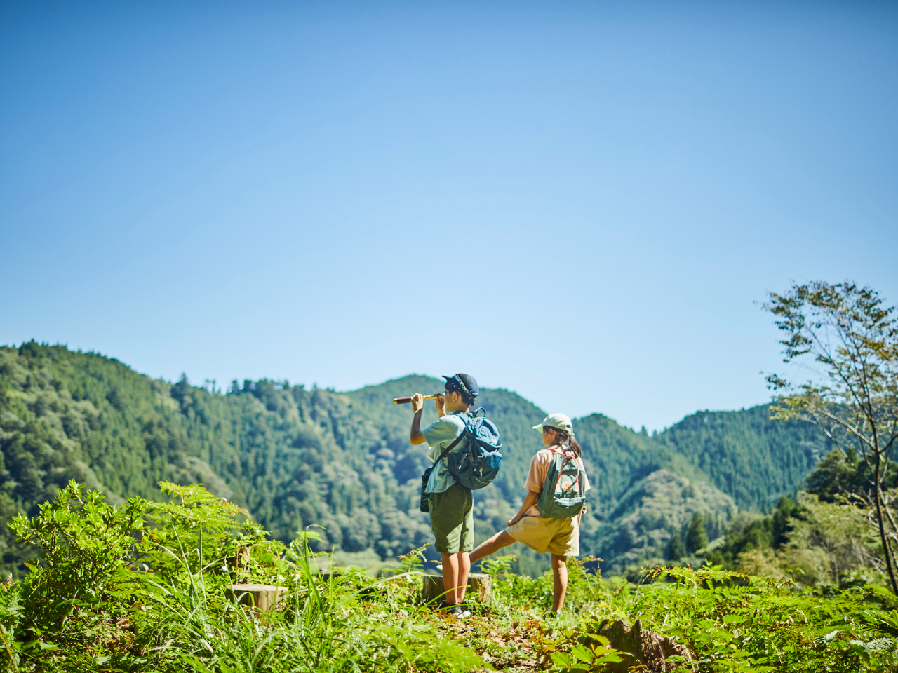 nʂɂݍŃRP̏Fώ@A Ȑォ]ŉE낵肵ȂA z͂𓭂Ȃ炻ɉBꂽuR̃A[gvT܂B