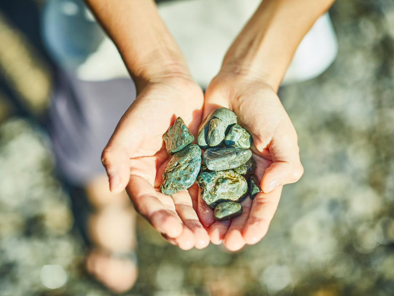 Ƃ͎vȂʂȌiF̒ŁANN鎩ŘBĚςAȓʂ1ɂȂ܂B