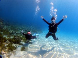 今まで知らなかった水中世界を冒険してみよう! 屋久島の海はこんなに綺麗♪