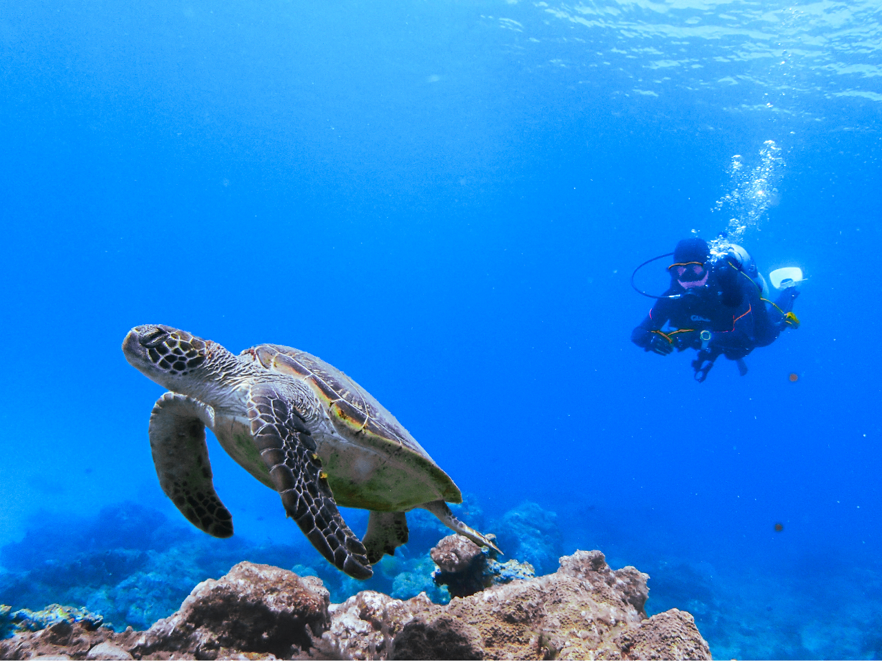 KI΁AƂ͊yނ`@fGȐE܂Ă܂I