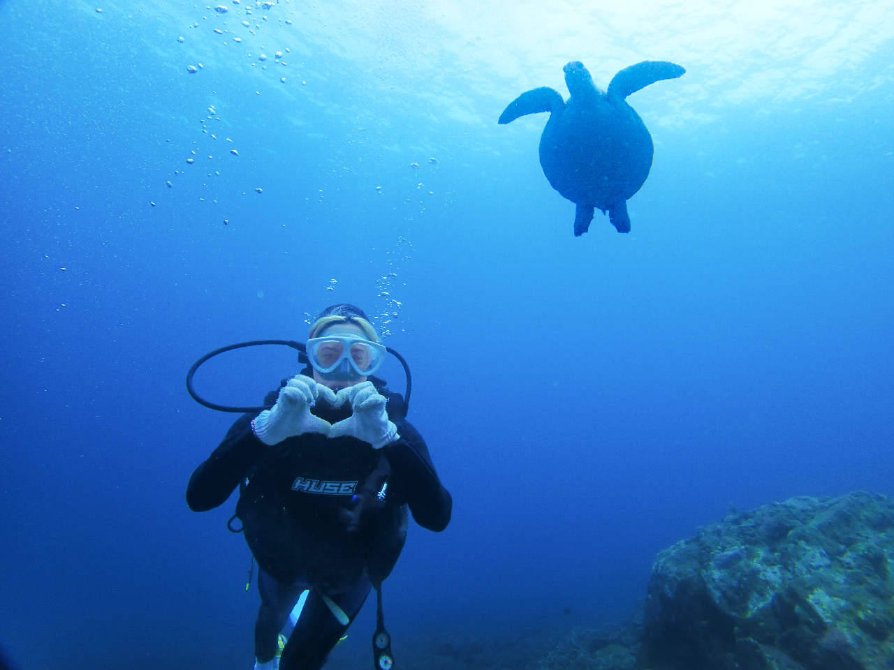 ウミガメと一緒にダイビング♪