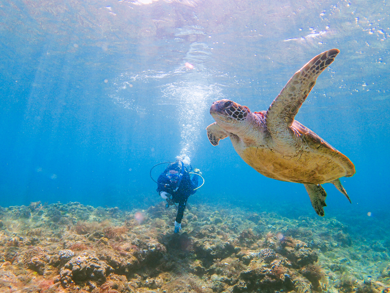 晴れてる日は光の筋がとても美しいです♪
