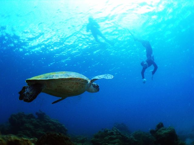 身軽な装備で誰でも楽しめるこのプログラムに参加してみませんか!