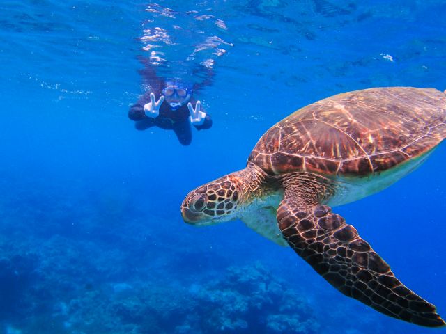 ウミガメと記念撮影