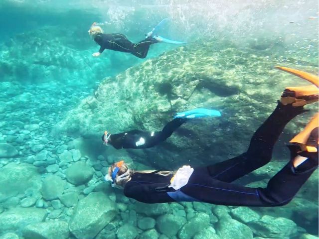 慣れてきたら素潜りにも挑戦!