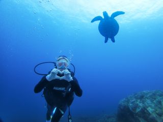 屋久島でウミガメとダイビング