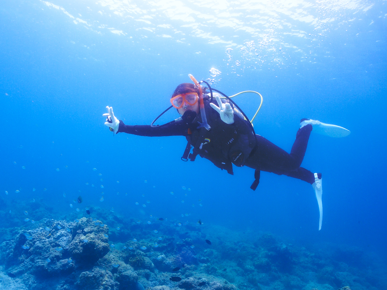 ���R�ƗV��ł�ƁA�Ί�ɂȂ����Ⴂ�܂���ˁ`��