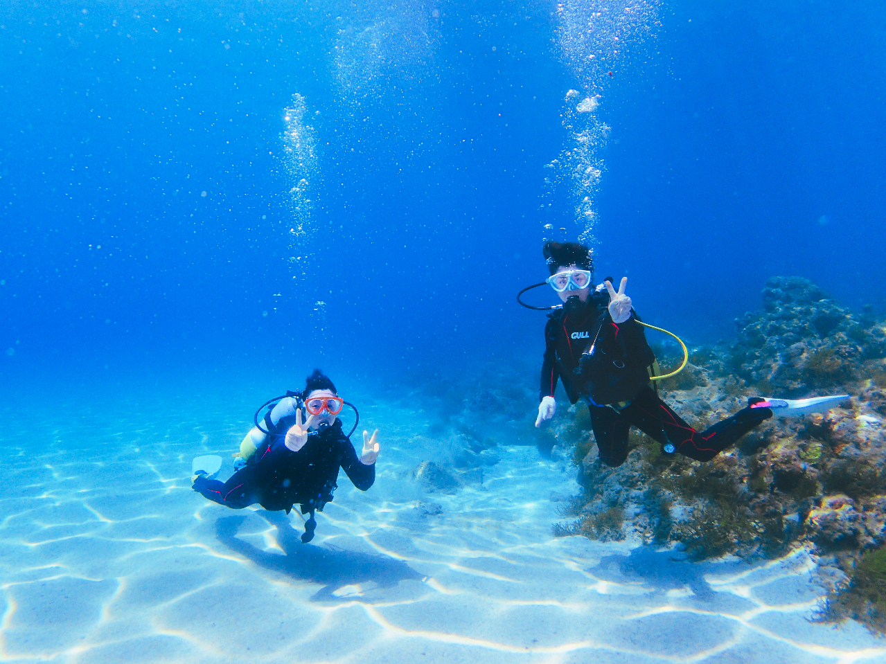 ���v���̊C�Ń_�C�r���O�I�@