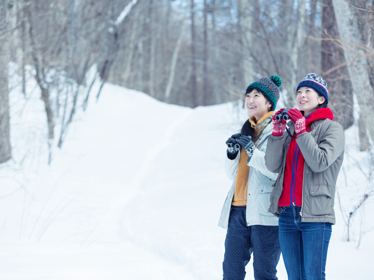 y쒹̐X𕑑ɁAX̐̕svcɂӂ鎩Rώ@cA[łB