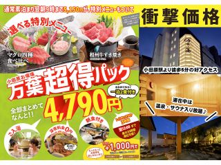 【1/13〜2/28】入館料+深夜料金+延長滞在3時間+選べる特別メニュー+朝食利用券がついて、4,790円!