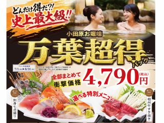 【7/1〜8/31】入館料+深夜料金+延長滞在3時間+選べる特別メニュー+朝食利用券がついて、4,790円!