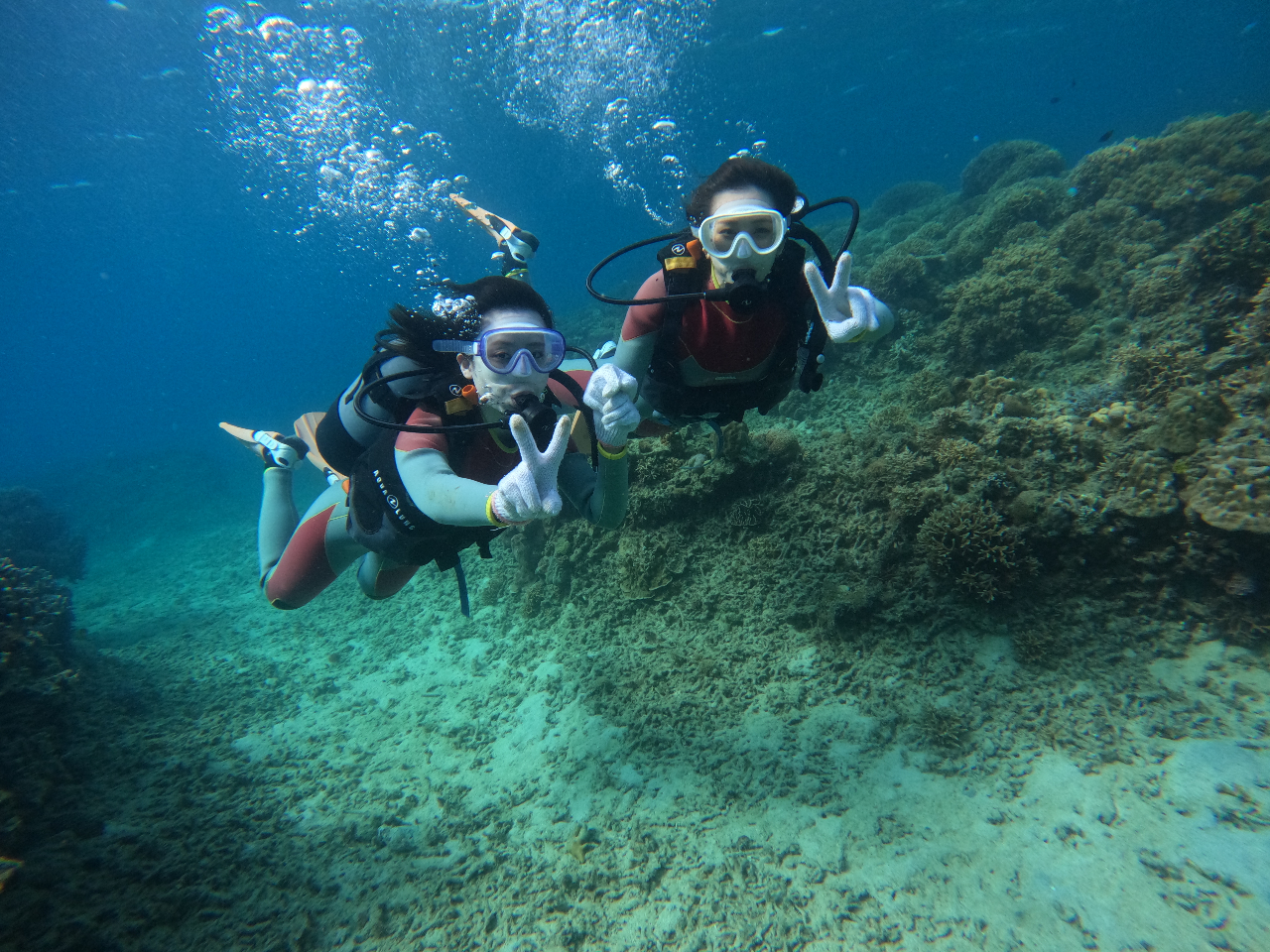 プライベートビーチでのんびり体験ダイビング!