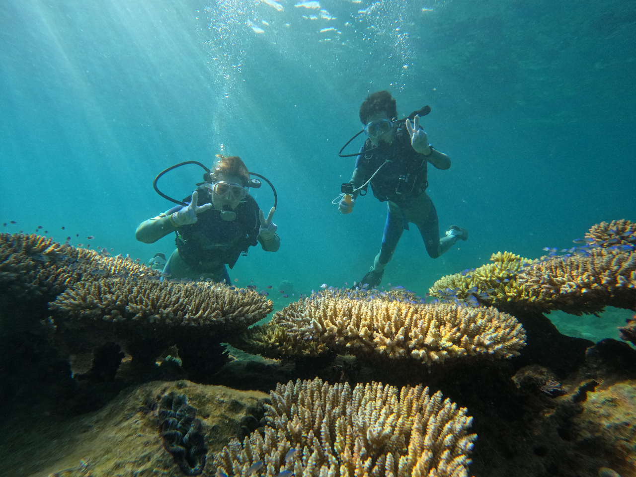 傳񂲏ʂɈ͂܂̂тƊy߂