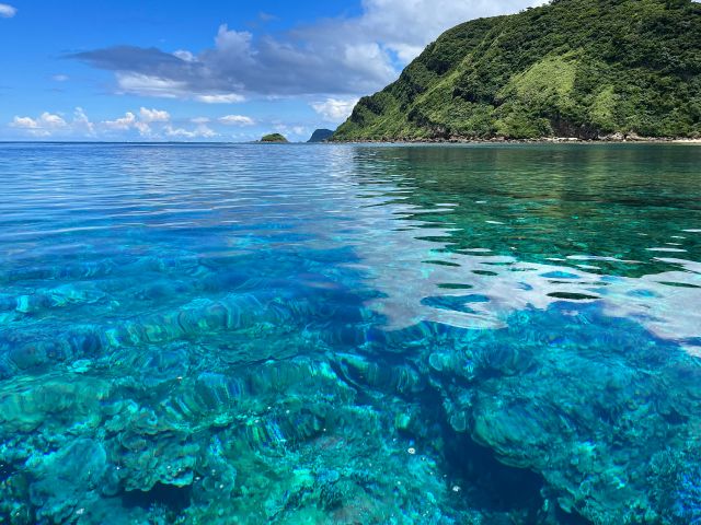 さんごがスケスケ♪とっても気持ちいい崎山湾。