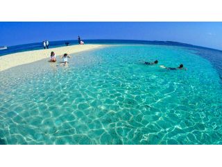地域共通クーポン対象 バラス島 鳩間島1日 島人船長と行く 珊瑚のカケラのバラス島と鳩間島のんびりシュノーケリング Go Toトラベル 西表インシャー じゃらん遊び体験 地域共通クーポン対象 バラス島 鳩間島1日 島人船長と行く 珊瑚のカケラのバラス島と鳩間島のんびりシュノーケリング Go Toトラベル 西表インシャー じゃらん遊び体験