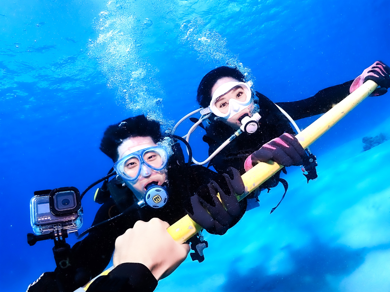 X擾_CuT|[gXeBbNŊyɐyށI