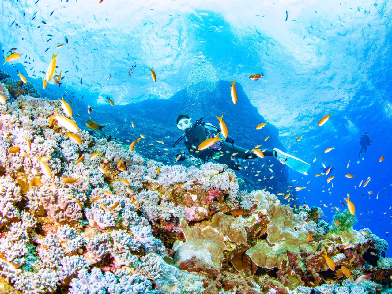 ǂȊCDqAOv܂I}NE啨En`ȂǁANGXg͌܂傤I