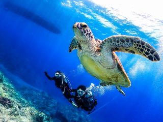 ウミガメ探索コースで慶良間諸島へ!