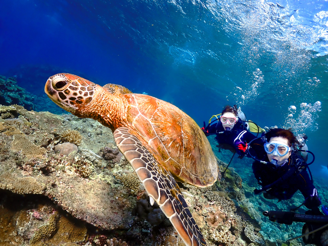 FXȃV`G[VŏoE~KIcǊԂɂ3ނقǐĂ܂B