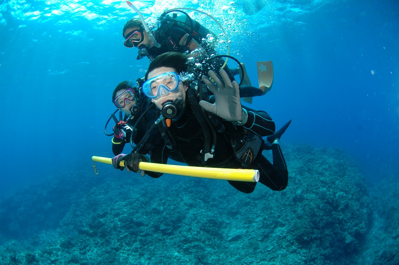 \̃_CuT|[gXeBbNgpŁAS_CrO