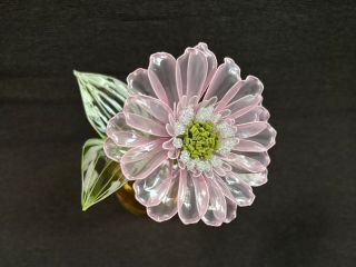 ガーベラとポトス