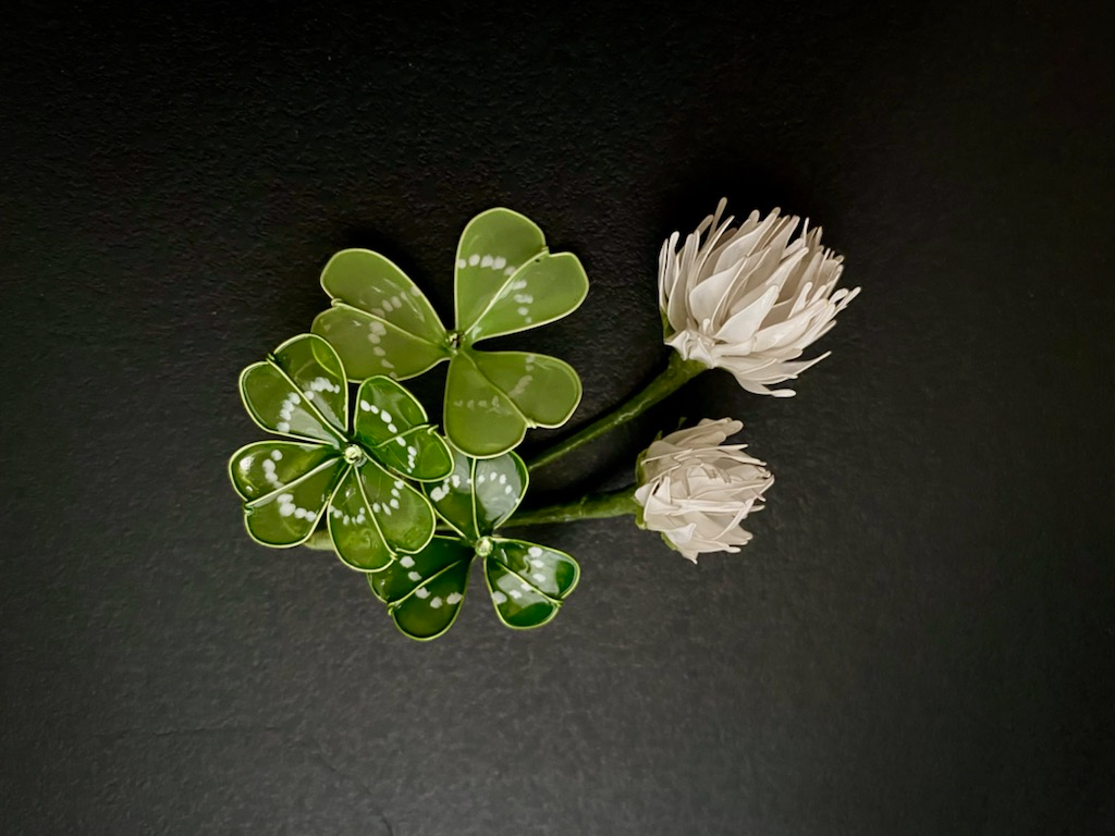 クローバーとシロツメクサのコンビネーション