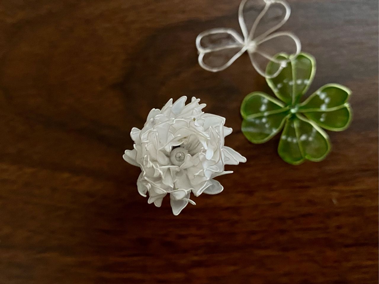 シロツメクサを真上から