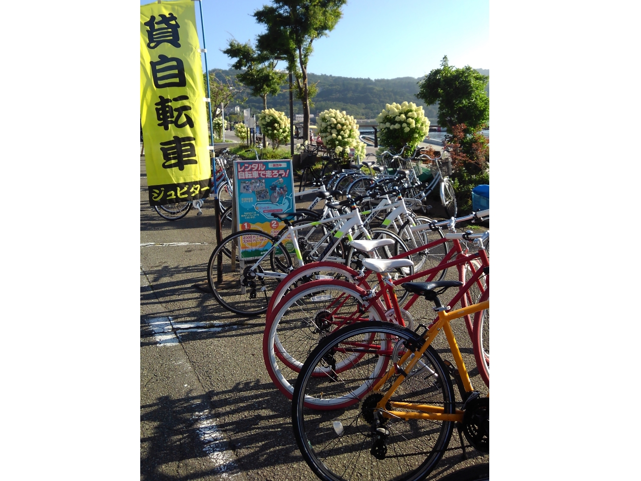 レンタサイクル山中湖一周してみませんか 山中湖ジュピター じゃらん遊び体験 レンタサイクル山中湖一周してみませんか 山中湖ジュピター じゃらん遊び体験