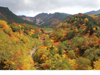 紅葉に染まる十勝岳