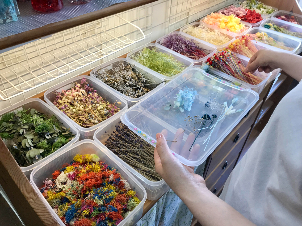 �D�����Ԃ��I�ׂ܂��B