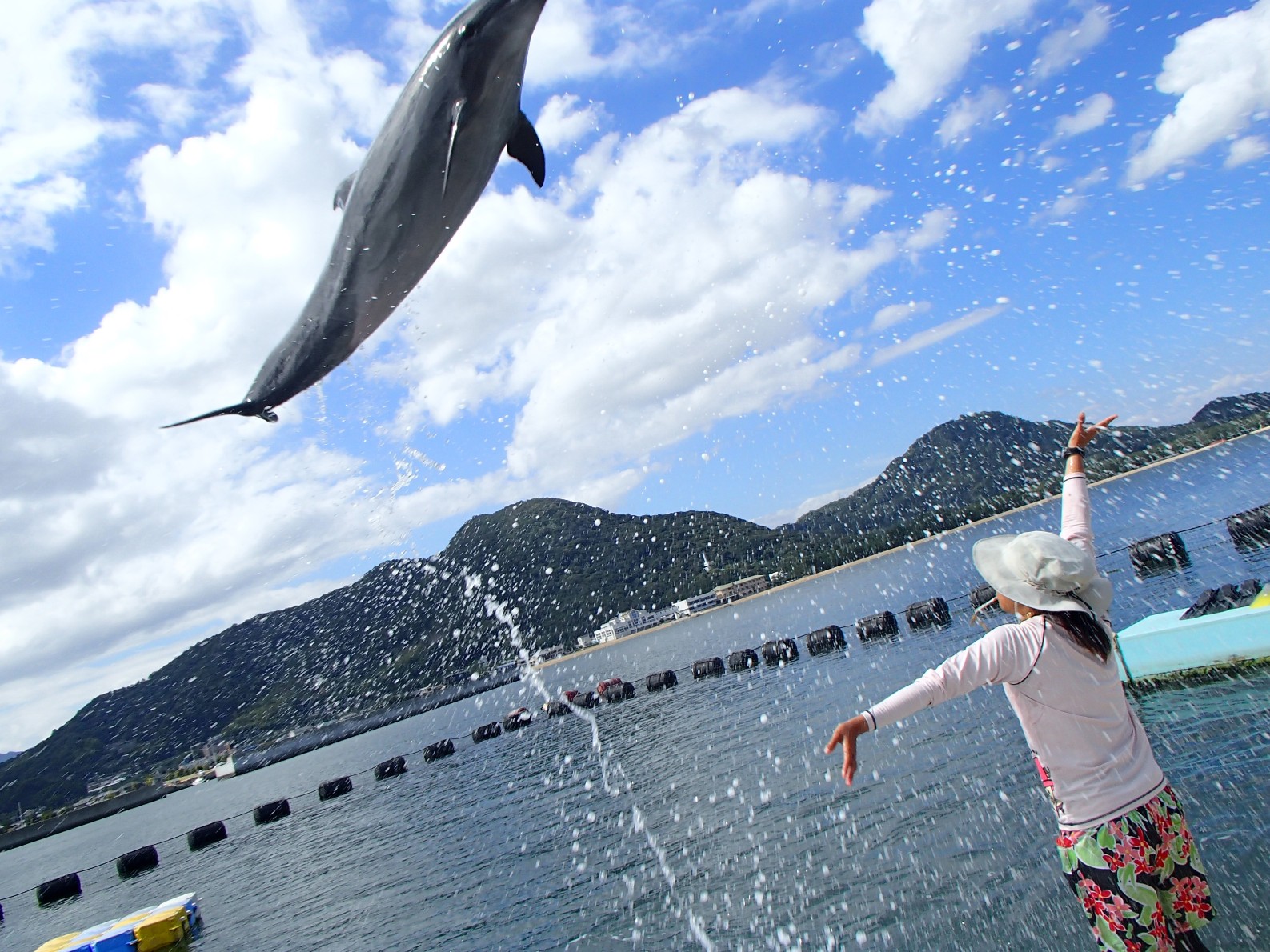 小豆島のウォータースポーツ マリンスポーツランキングtop5 じゃらんnet