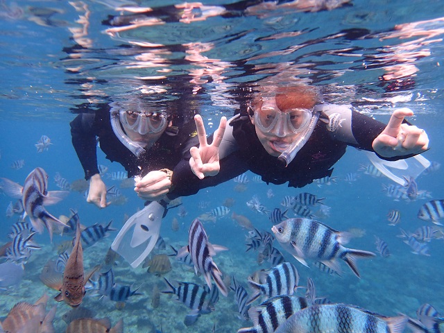 魚の数の多さに感動!