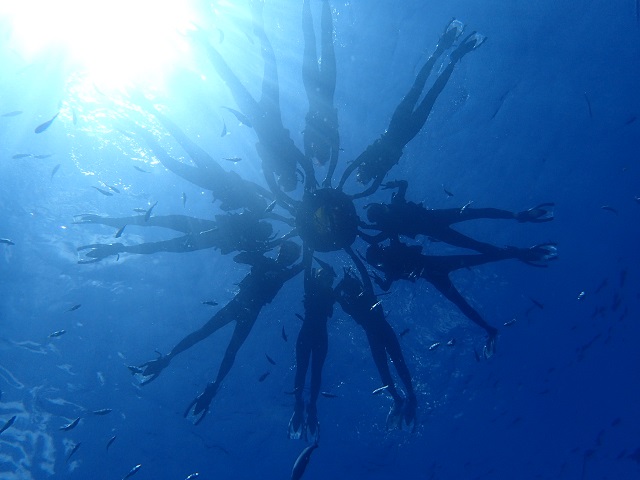 l̂Q݂͂ȂŃCCVׂ܂I